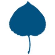 Logo Aspen Institute Mexico