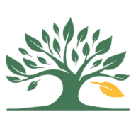 Logo Muir Wood Adolescent & Family Services LLC