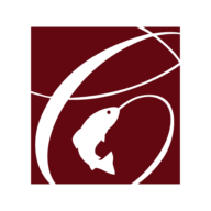 Logo Catch Engineering