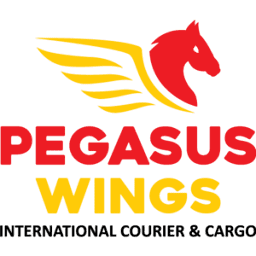 Logo Pegasus Wings Group Ltd.