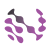 Logo Nova Plasma Ltd.