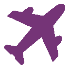 Logo Borispil Mizhnarodniy Aeroport DP
