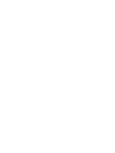 Logo Pan-Arab Angels, FZ-LLC