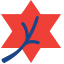 Logo Canadian Jewish Political Affairs Committee