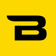 Logo Bollyx, Inc.
