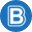 Logo Bestway Global Holding, Inc.
