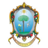 Logo Congregação de Santa Dorotéia do Brasil - Sul