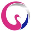 Logo Cygnetise Ltd.
