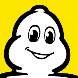 Logo Michelin Vietnam Co., Ltd.