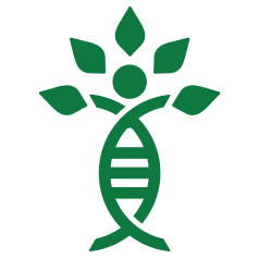 Logo Panacea Venture