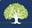 Logo White Oak Capital Partners Pte Ltd.