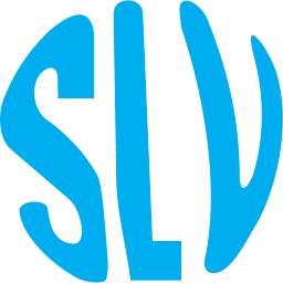 Logo SLV Security Services Pvt Ltd.