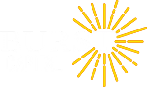 Logo Burst Capital Management LLC