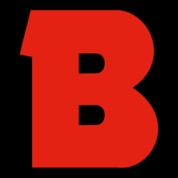 Logo Beal Securities Ltd.