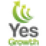 Logo Yes Growth Ltd.