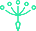 Logo Finnovista