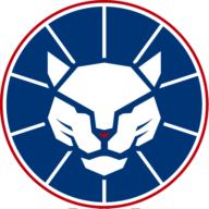 Logo Lithium Lion Metals, Inc.
