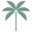 Logo Honolulu Coffee Co.