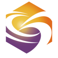 Logo SingulaNet Ltd.