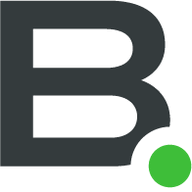 Logo Braven Environmental LLC