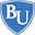 Logo Bryan University
