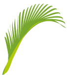 Logo BIOVEA Energie