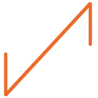 Logo Salmon Evolution ASA