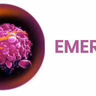 Logo EMERCell SAS