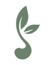 Logo Seedfolio