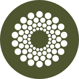 Logo Cocoon Financial Services, Inc.