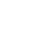 Logo Twin Pine Group Co. Ltd.