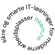 Logo ITeam 1 AS