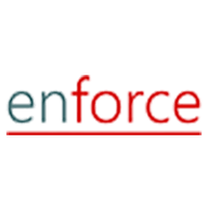 Logo Enforce Consulting LLC