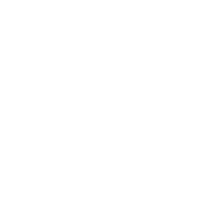 Logo Suomen Ylioppilaskuntien Liitto (SYL) ry